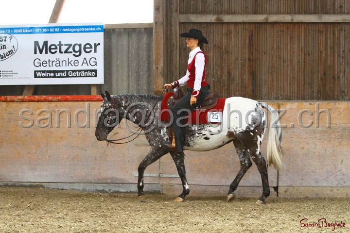 31-ApHC OWP_024.jpg